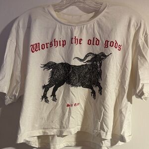 Sin Eater Worship the old gods crop tee